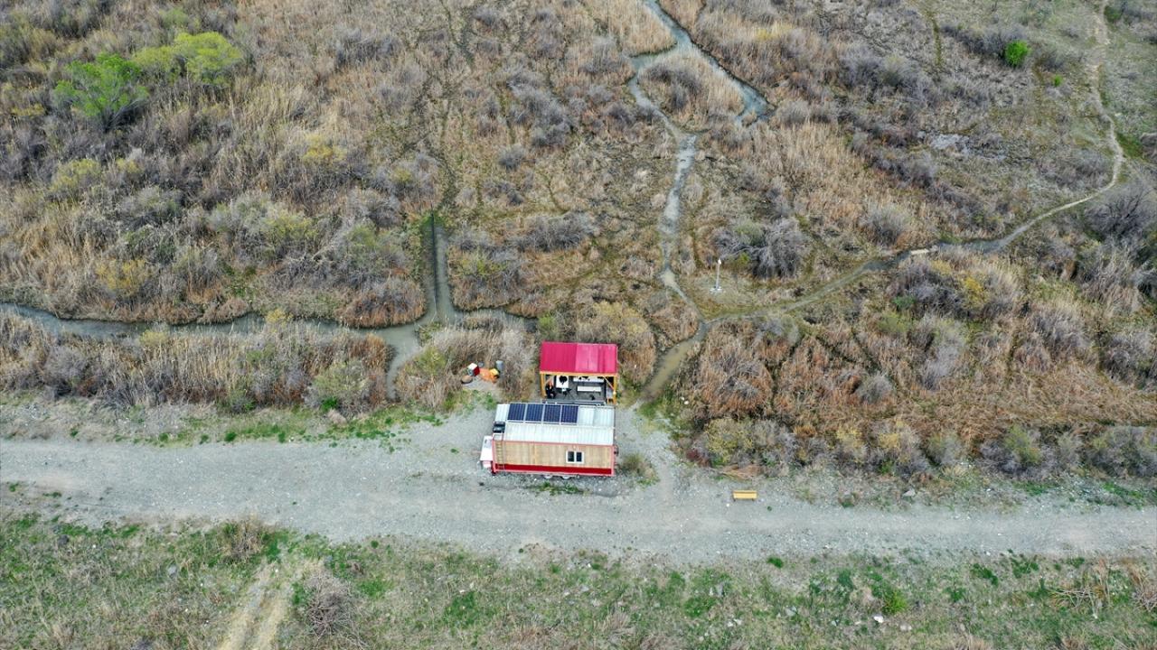 Bozkır şahini, Rusya`daki İdil Nehri kıyısına uçtu