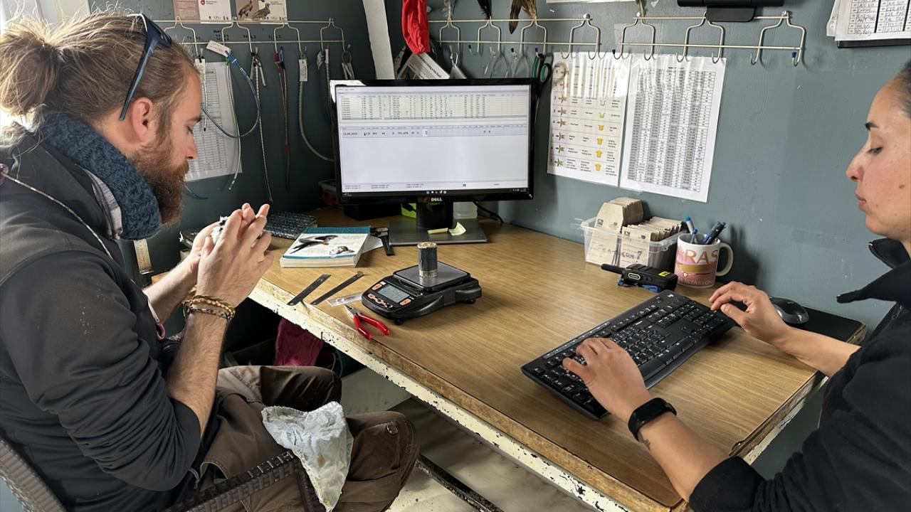 "Halkalamaya göre daha hızlı veri elde ediyoruz"