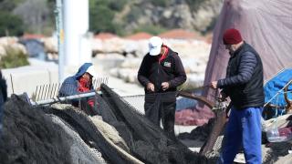 Güney Marmara'nın balıkçıları bu sezon müsilaj nedeniyle umduğunu bulamadı