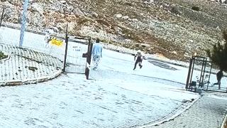 Beslediği başıboş köpekler çocuklara saldırdı, o izlemekle yetindi