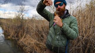 Lüksemburglu ve İtalyan gönüllüler, Afrika'dan gelen kuşları inceliyor