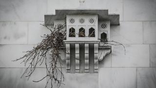 Ankara'nın "Kuş evleri"