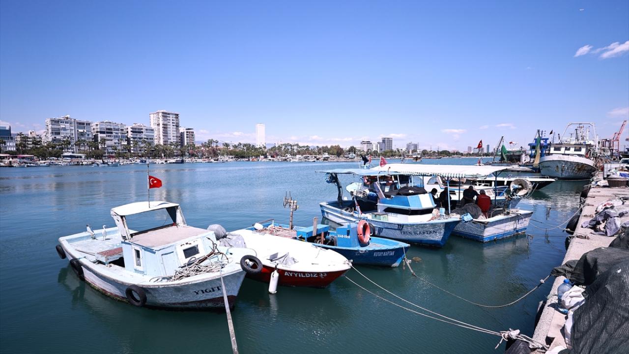 "Denizin bu yıl gibi seneye de bizi güldürmesini istiyoruz"