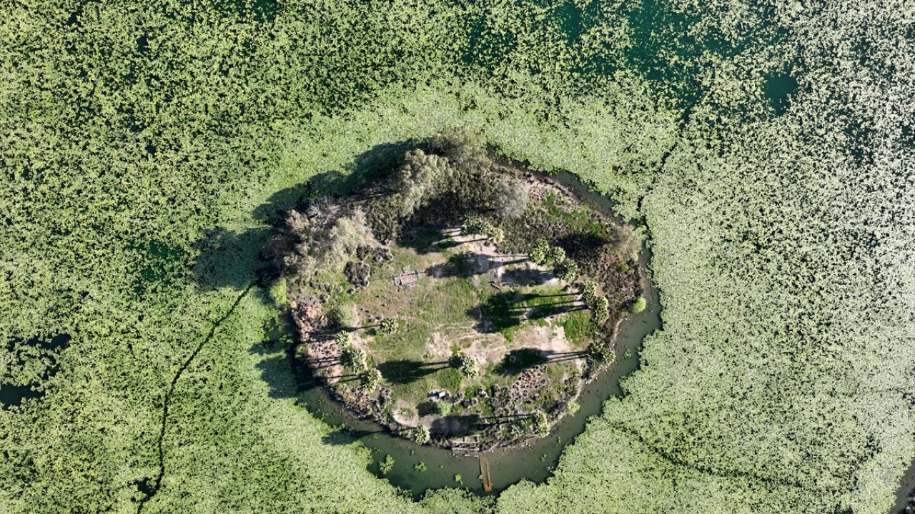 "Özellikle hafta sonları yerli ve yabancı misafirlerimiz geliyor"