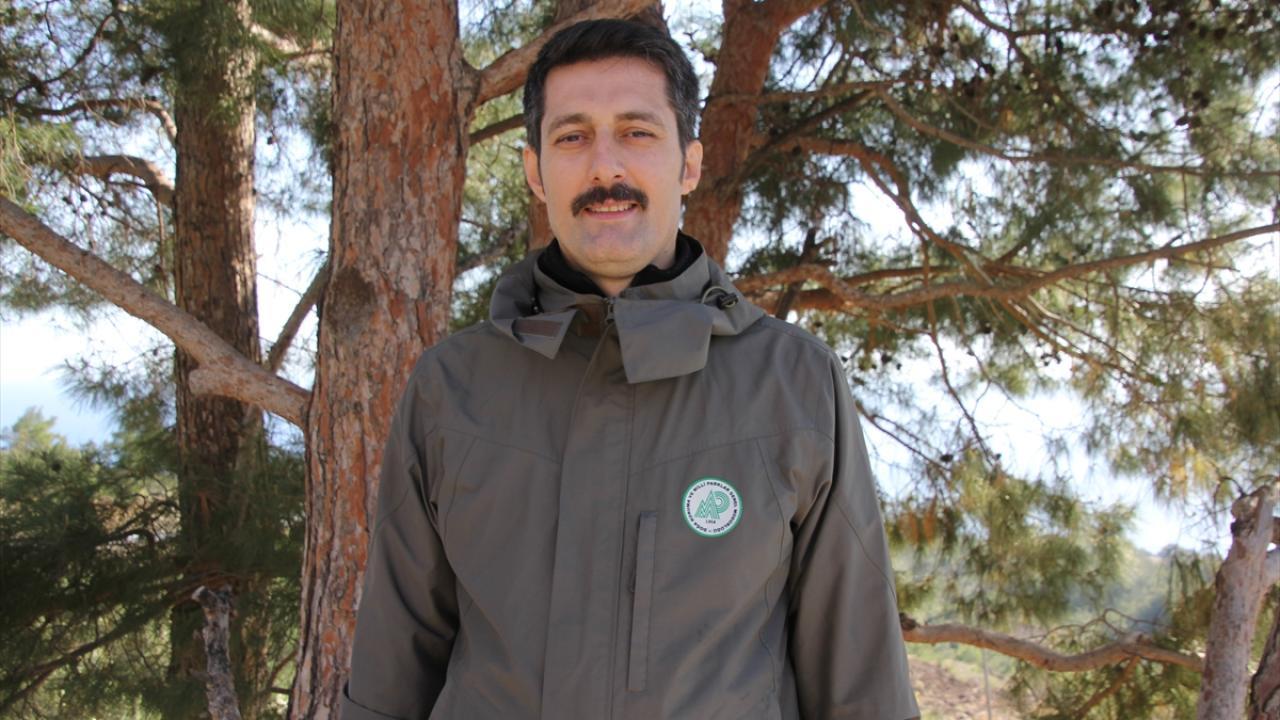 145 kaçak avcıya ceza