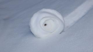 Doğada ender oluşan kar ruloları Amasya'da tekrar görüldü