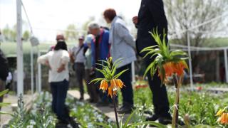 Erzincan’ın Ters Lale Koleksiyon Bahçesi yurt dışından bilim insanlarını ağırlıyor