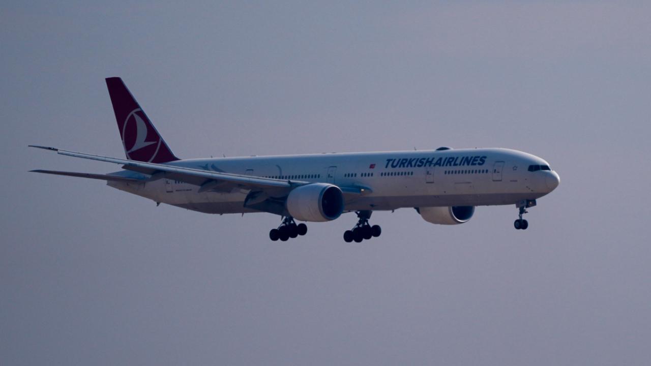 thyaa-2353228.jpg