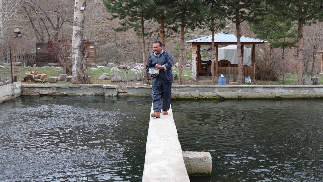 "Yılda yaklaşık 20-30 gram civarında büyüme gerçekleşiyor"