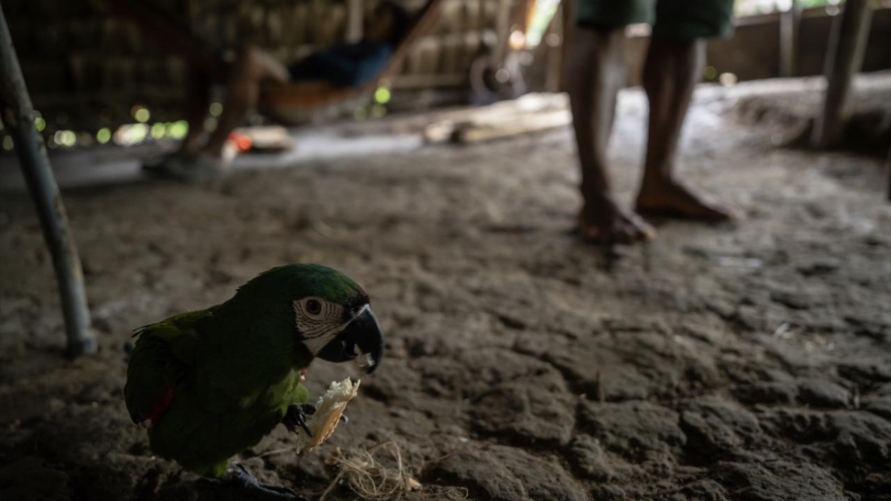 Kabilenin dış dünyayla ilk ciddi teması 1958`de