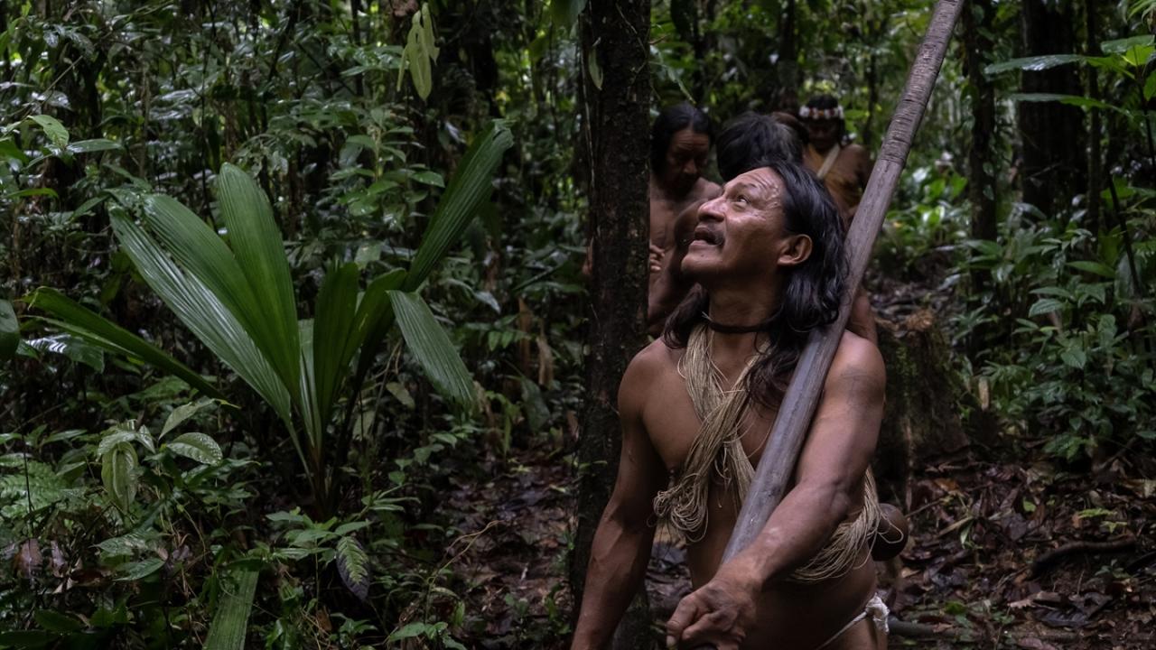 Mızrak ve zehirli ok boruları gibi geleneksel yöntemlerle avlanılıyor
