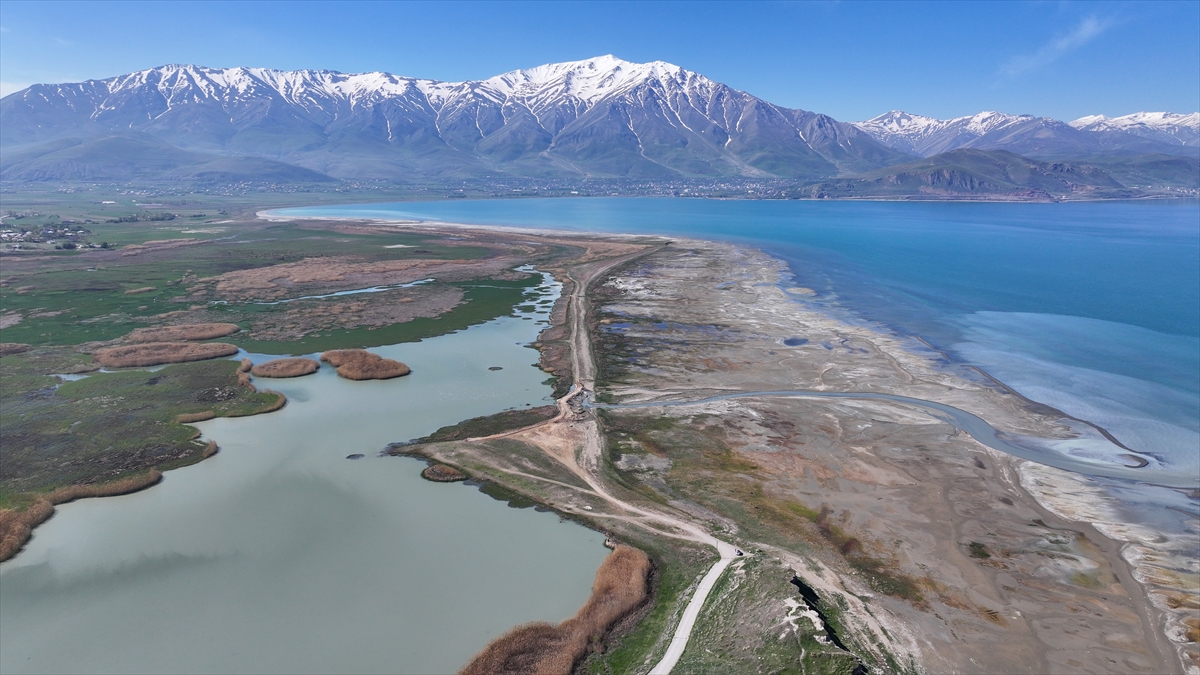 "Umutlarımız yeşerdi"