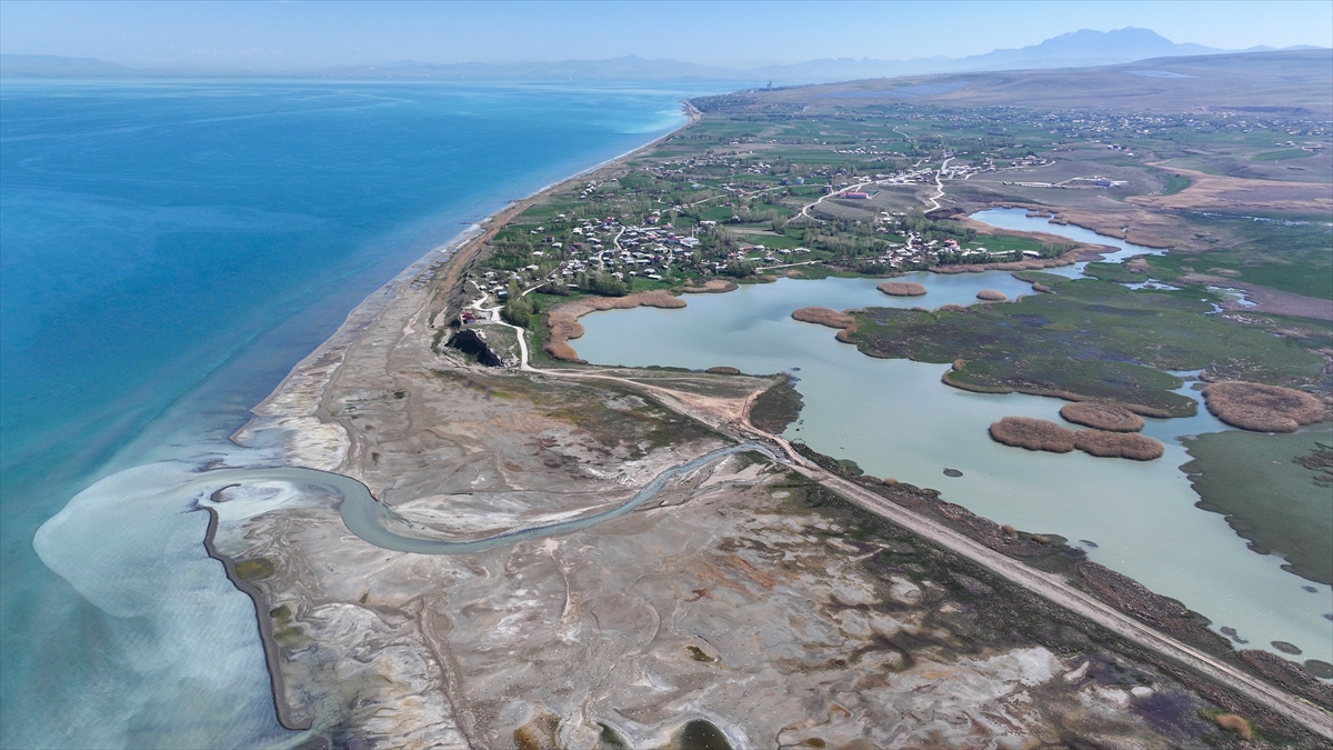 "Kuşların yaşam alanlarına döndüğünü görüyoruz"