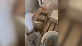 Konya'da sağlığa zararlı yaklaşık 50 ton peynir imha edildi