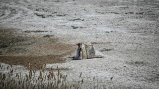 Sel Kapanı Baraj Gölünde kuraklık