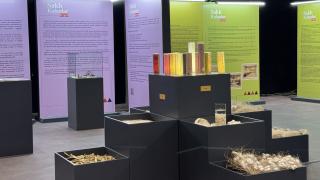 "Saklı Kalanlar" sergisi sanatseverlerle buluştu