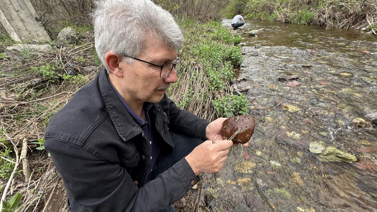 "Ekosistemin sağlığına katkıda bulunuyorlar"