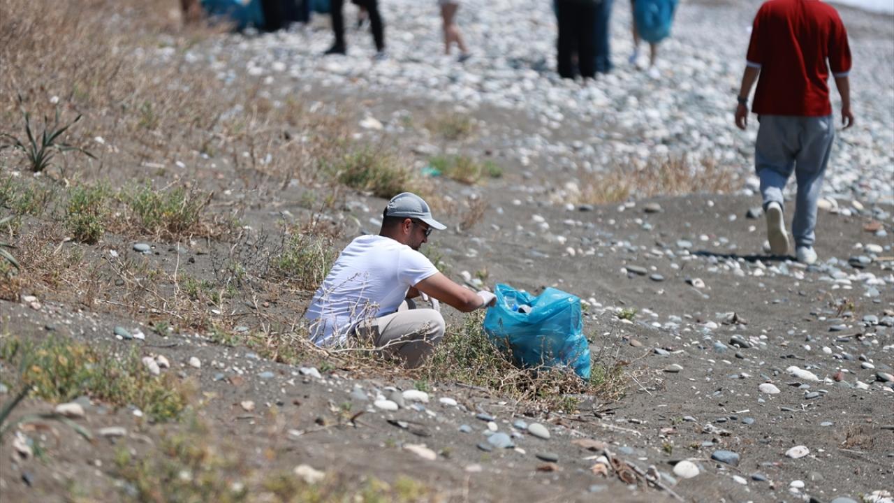 Temizlik çalışmaları kaplumbağalar ve kum zambakları için önem taşıyor