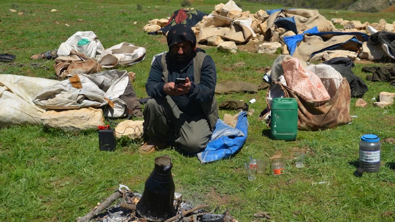 "Yaylada 4 ay kaldıktan sonra tekrar yürüyerek Mardin`e ulaşıyoruz"