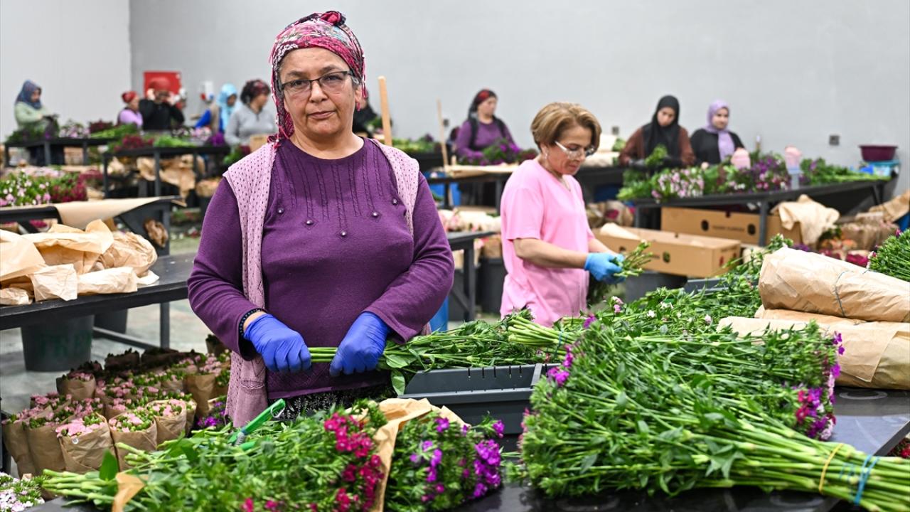 Ülkelerden farklı renklerde çiçek talebi