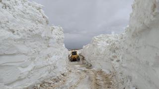 Hakkari'de yüksek kesimlerde karla mücadele sürüyor