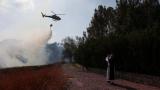 İsrail'de Kudüs ile Tel Aviv arasındaki ormanlık alanda çıkan yangınlar 11 noktada sürüyor