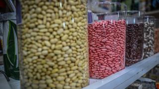 Ulus Hali'nde bahar hazırlığı: tohum ve fideler tezgahlarda yerini aldı