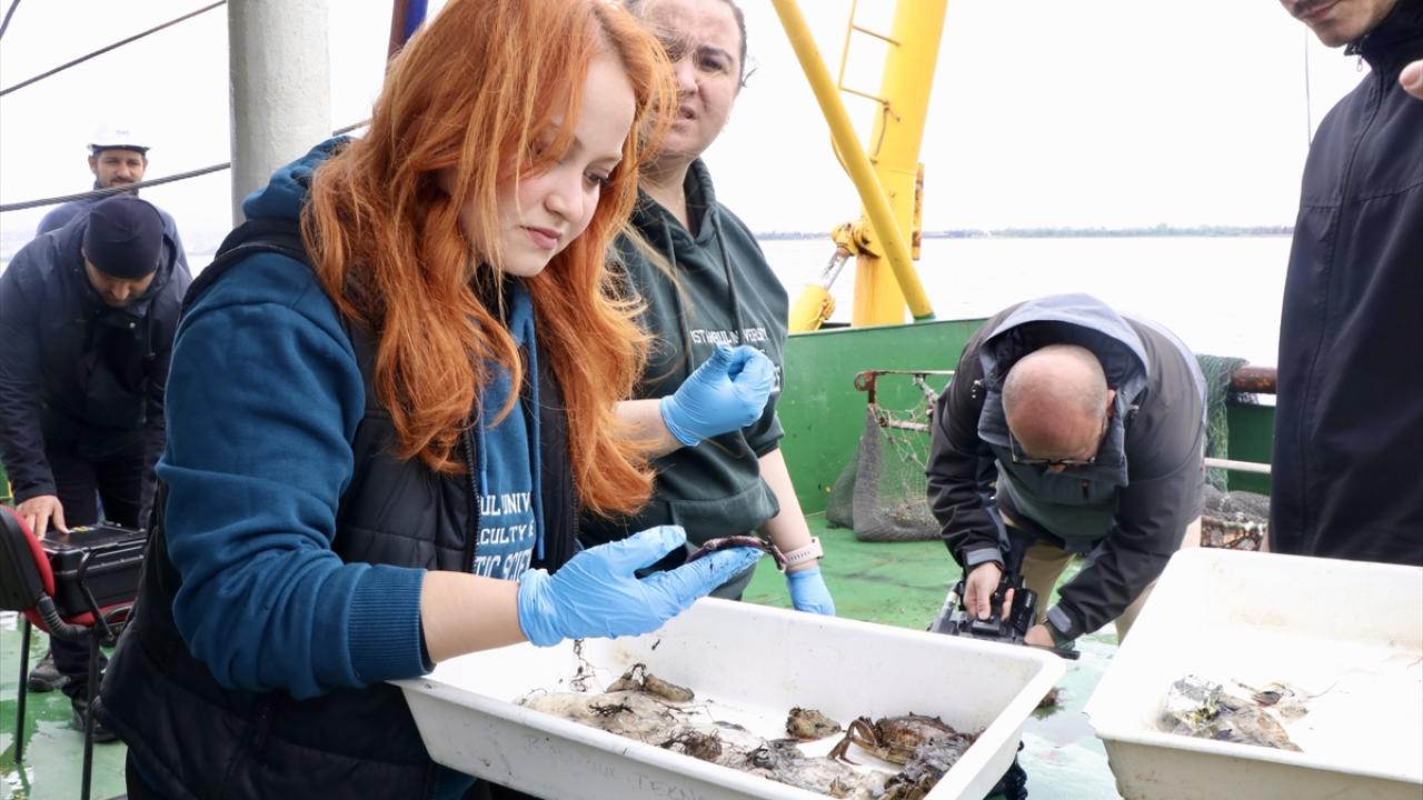 "Başlangıçtaki sonuçlarla şimdiki sonuçlar arasında olumlu farklar söz konusu"