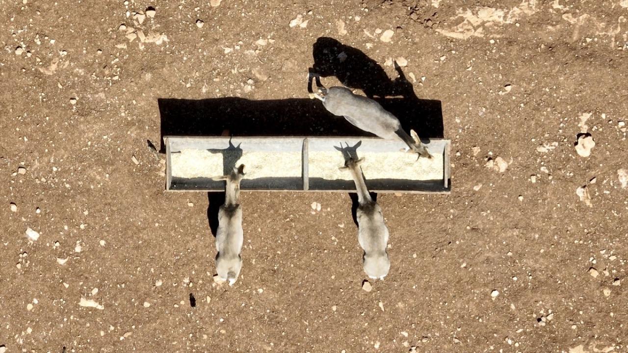 Sayıları 11 yılda 235`ten 1504`e yükseldi