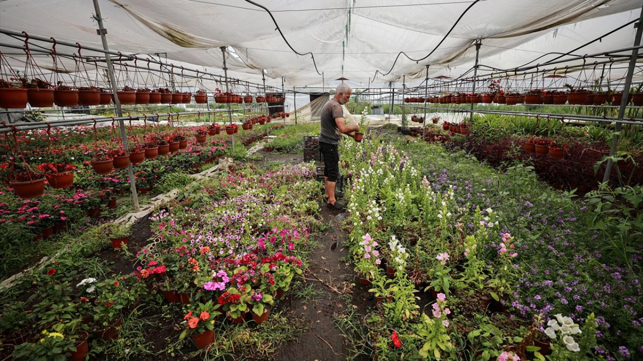 "Çiçekçilerde hummalı bir çalışma var"