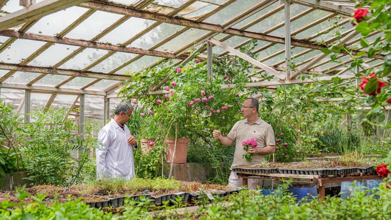 "Tarihi milattan önceye dayanıyor"