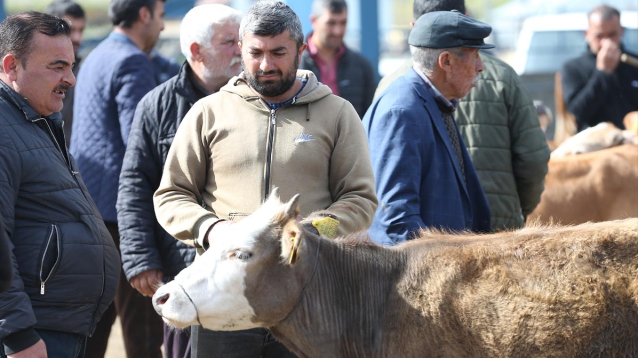 "Pazarımız bereketli ve hareketli"