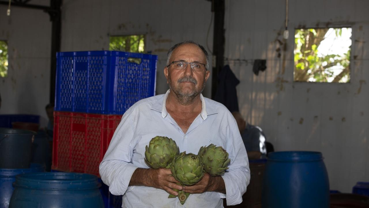 Kadınlar topluyor erkekler soyuyor