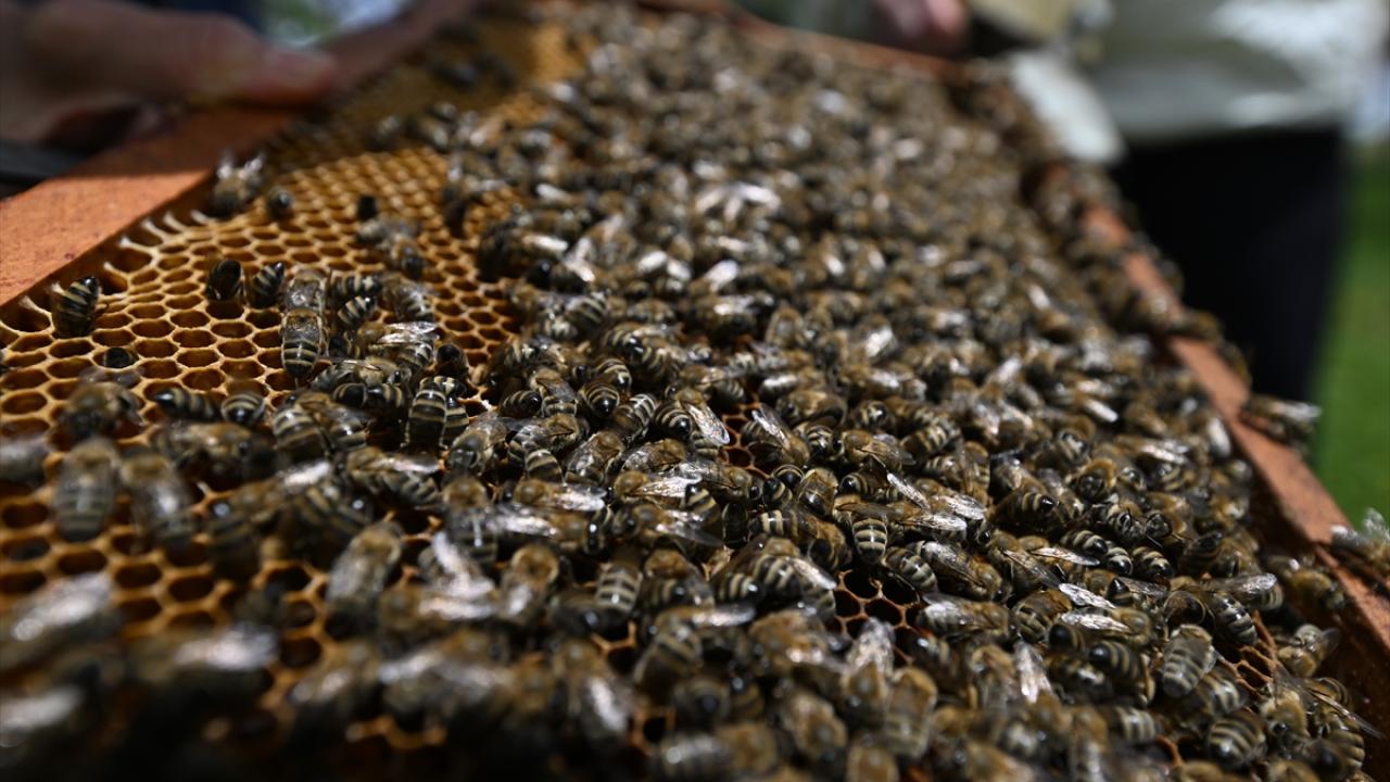 Projenin ilk etap çalışmaları tamamlandı