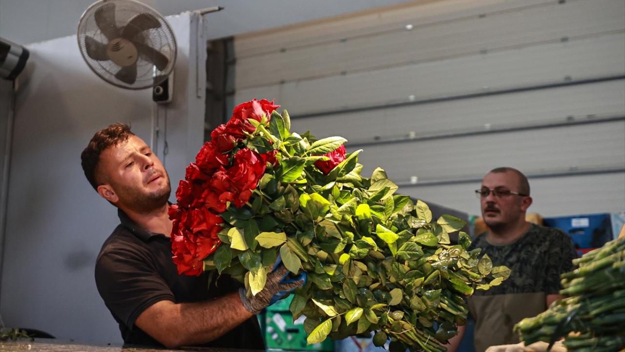 Çukurova'daki çiçek mezatları ve seralar "Anneler Günü" öncesi hareketli
