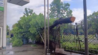 Başkentte sağanak ve fırtına hayatı olumsuz etkiledi