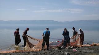İznik Gölü'nde gümüş balığının ihracat yolculuğu başladı
