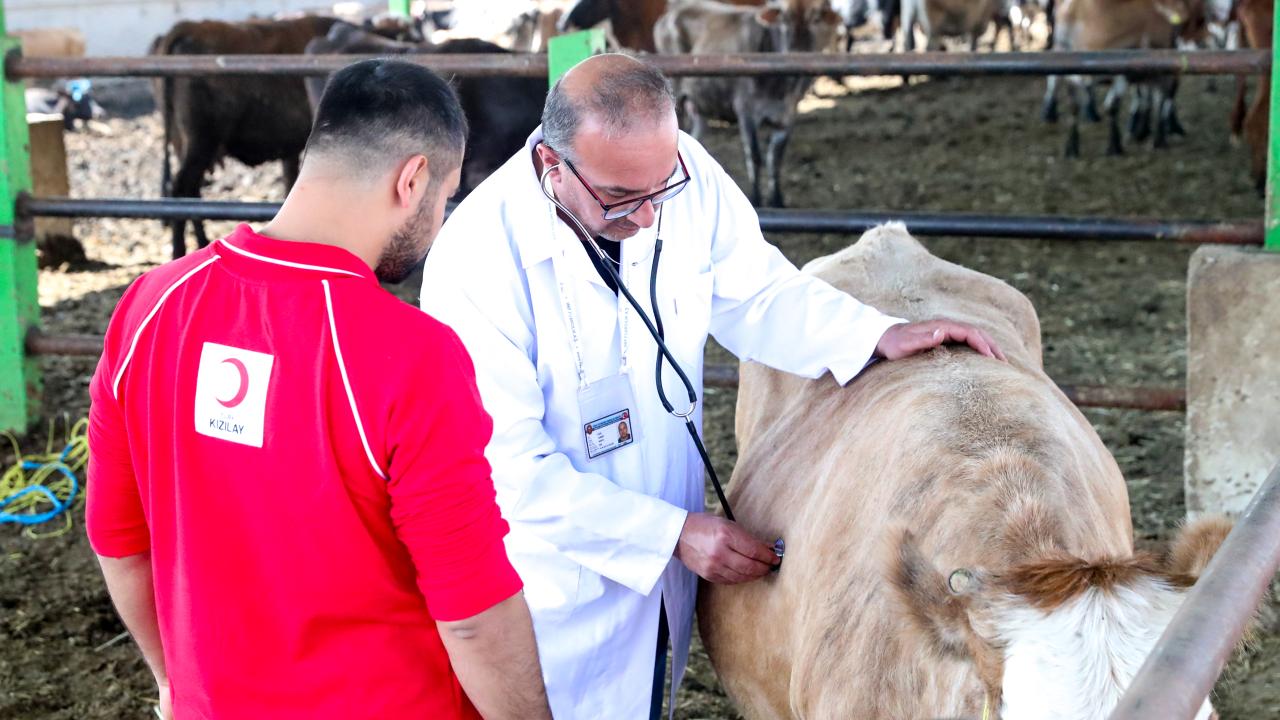 Kızılay kurban vekalet fiyatlarını belirledi
