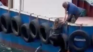 Vapurdan düşen yolcuyu balıkçı kurtardı