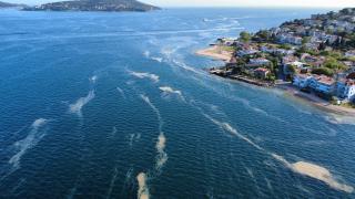 Kınalıada açıklarında "müsilaj" alarmı