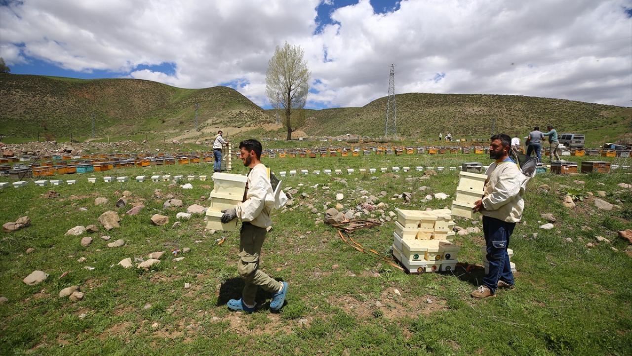 Arıcılar bu yıl verimden umutlu