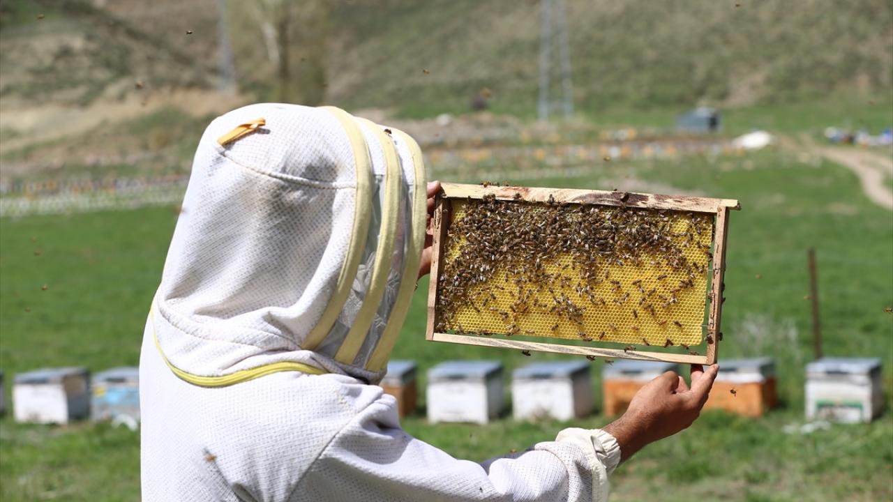 "Bundan sonraki hedefimiz ihracat"