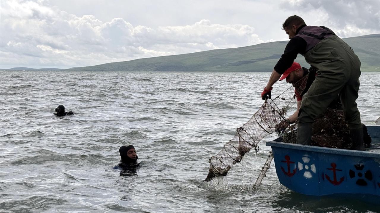 Dalgıçlar işaretlenen bölgelerin derinliklerine indi