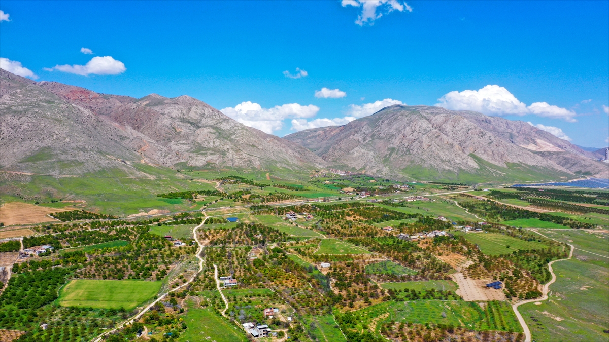 "Buranın büyülü bir atmosferi var"