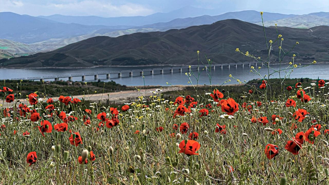 "Elazığ ve Malatya`nın en güzel bölgesi"