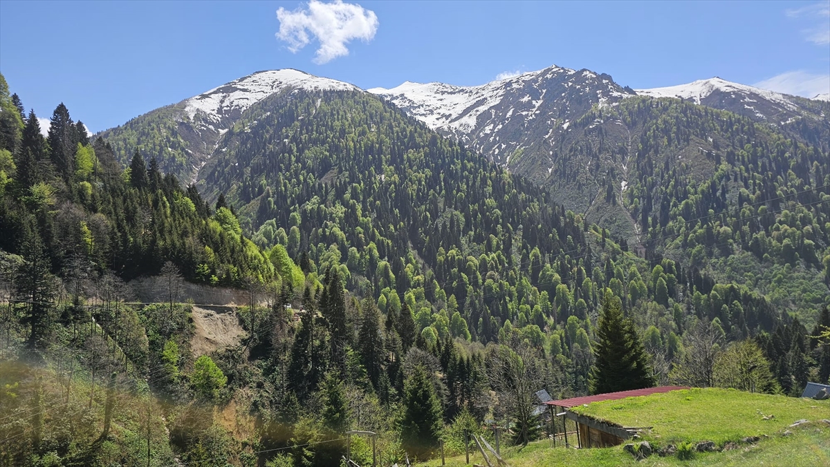 Rize`de dağ, doğa ve spor turizmi ön plana çıkacak