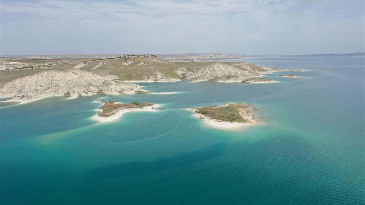 Her şey martıların rahatı için