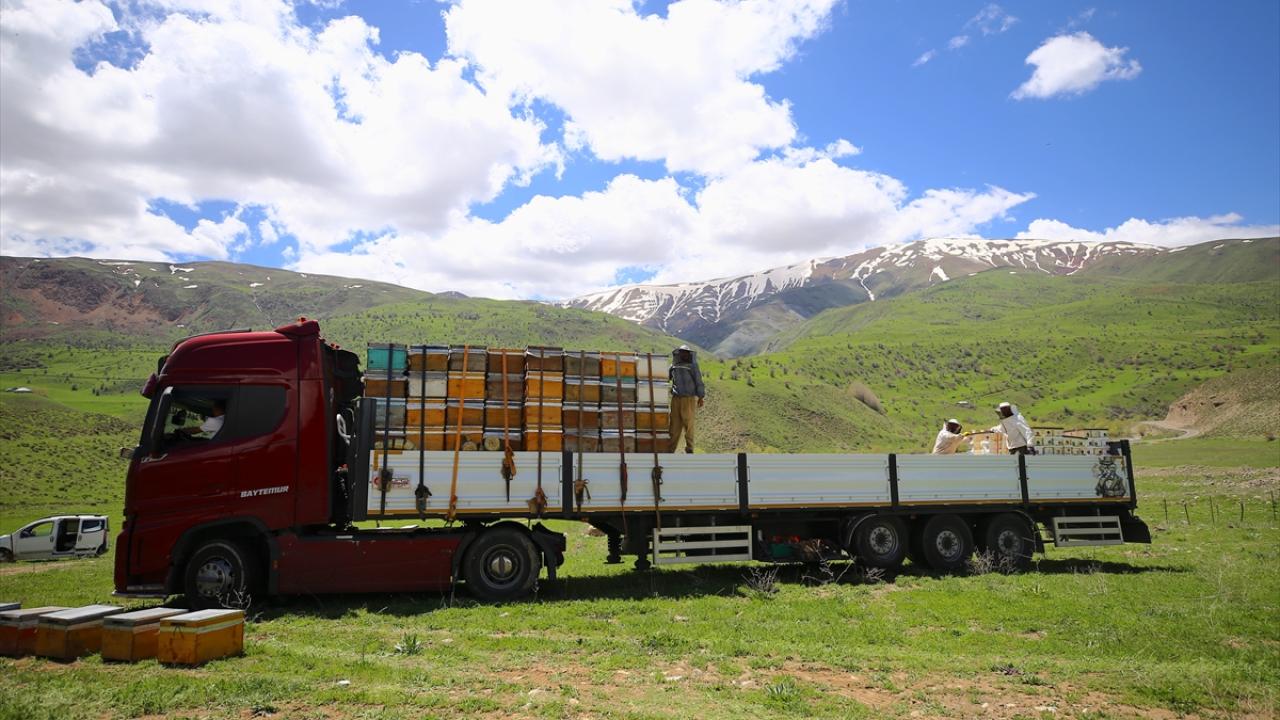 Kışı Akdeniz'de geçiren arıcılar Bingöl'ün yaylalarına dönüyor