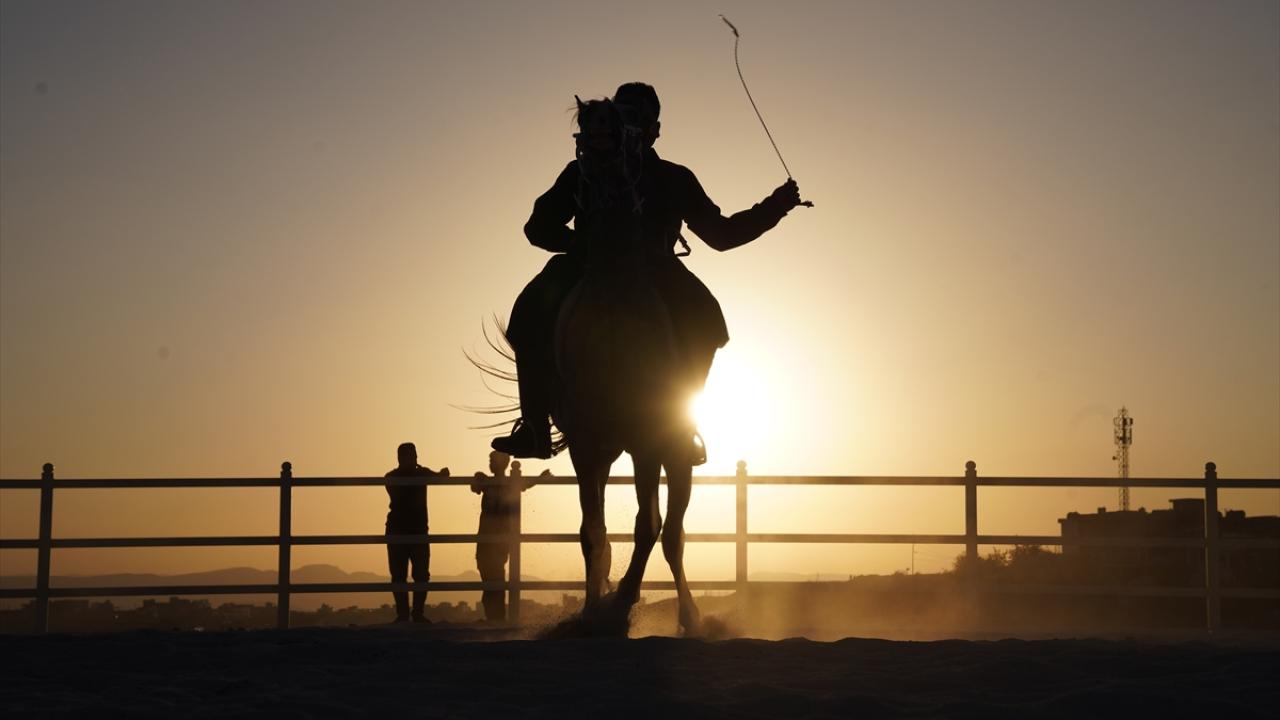 Süleymaniye'de 'at binciliği festivali'
