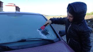 Sarıkamış'ta soğuk hava: Araçların camlarını buz, çiçekleri kırağı tuttu